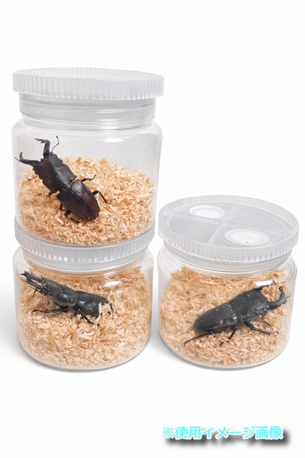 虫かご　飼育ケース　セット　クワガタ　カブトムシ　菌糸瓶　マット　まとめ売り Amazon | 昆虫ケース 虫かご 観察ケース 飼育容器 500ml 通気キャップ